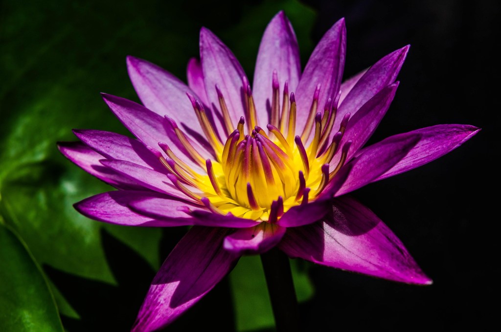 gaslighting, self-doubt, emotional confusion, and the process of learning to trust yourself again.
